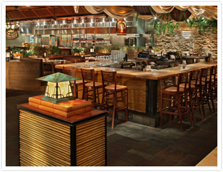 Bimini Twist Gallery