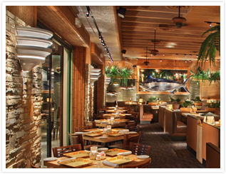 Bimini Twist Gallery