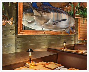 Bimini Twist Gallery