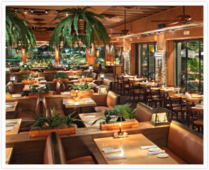 Bimini Twist Gallery